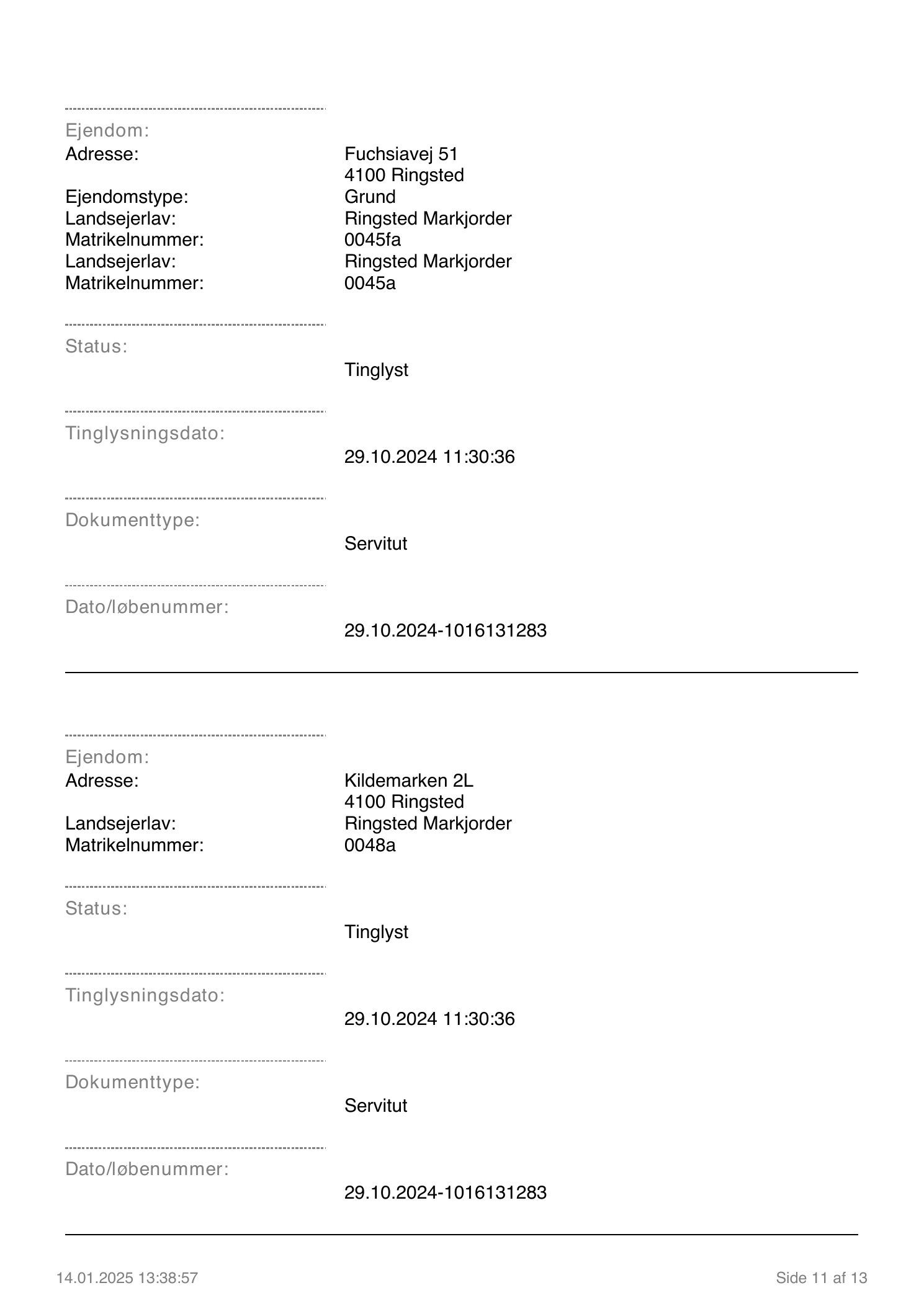 Dokumentside 11 af 13